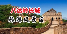 艹干逼网站中国北京-八达岭长城旅游风景区
