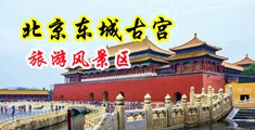 骚逼喷水小视频中国北京-东城古宫旅游风景区
